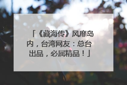《藏海传》风靡岛内，台湾网友：总台出品，必属精品！