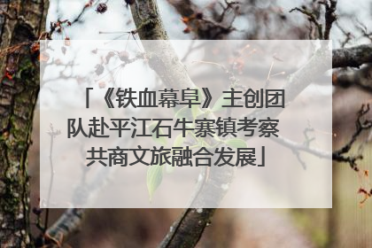 《铁血幕阜》主创团队赴平江石牛寨镇考察 共商文旅融合发展