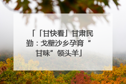 「甘快看」甘肃民勤：戈壁沙乡孕育“甘味”领头羊