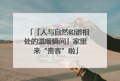 「人与自然和谐相处的温暖瞬间」家里来“贵客”啦