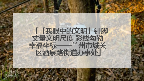 「我眼中的文明」针脚丈量文明尺度 彩线勾勒幸福坐标——兰州市城关区酒泉路街道办事处