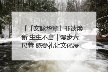 「文脉华章」非遗焕新 生生不息｜漫步六尺巷 感受礼让文化浸润的“巷”往生活