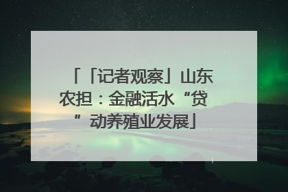 「记者观察」山东农担：金融活水“贷”动养殖业发展