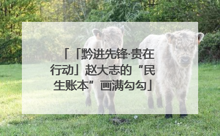 「黔进先锋·贵在行动」赵大志的“民生账本”画满勾勾