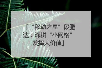 “移动之星”段鹏达：深耕“小网格” 发挥大价值