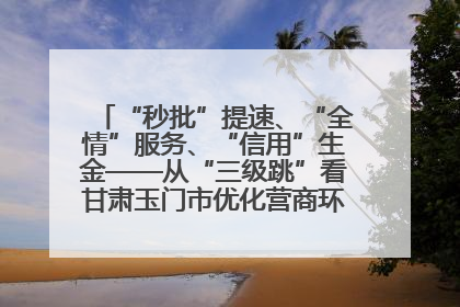 “秒批”提速、“全情”服务、“信用”生金——从“三级跳”看甘肃玉门市优化营商环境的进阶之路