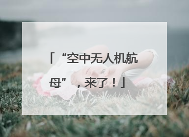 “空中无人机航母”，来了！