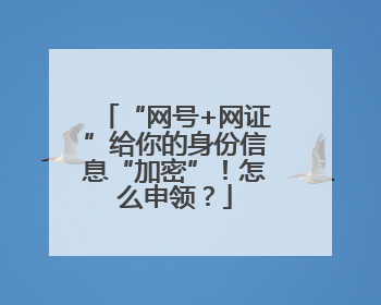 “网号+网证”给你的身份信息“加密”！怎么申领？
