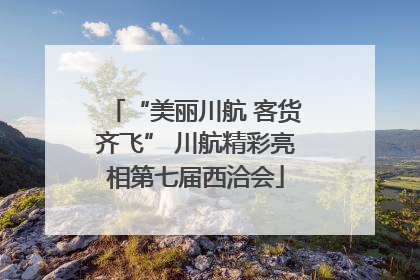 “美丽川航 客货齐飞” 川航精彩亮相第七届西洽会