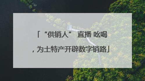 “供销人” 直播 吆喝，为土特产开辟数字销路