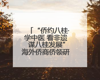 “侨约八桂·学中医 看非遗 谋八桂发展”海外侨商侨领研修班举行