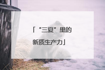 “三夏”里的新质生产力