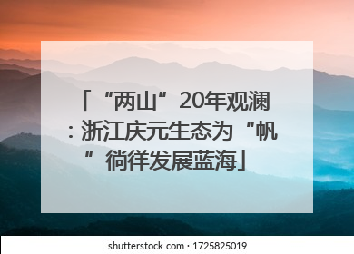 “两山”20年观澜：浙江庆元生态为“帆”徜徉发展蓝海