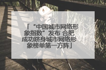 “中国城市网络形象指数”发布 合肥成功跻身城市网络形象榜单第一方阵
