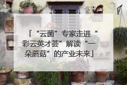 “云菌”专家走进“彩云英才荟”解读“一朵蘑菇”的产业未来