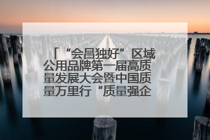 “会昌独好”区域公用品牌第一届高质量发展大会暨中国质量万里行“质量强企•质品行动”进会昌启动仪式成功举办