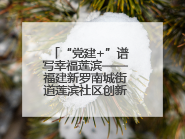 “党建+”谱写幸福莲滨——福建新罗南城街道莲滨社区创新治理模式探访