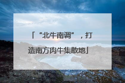 “北牛南调”，打造南方肉牛集散地