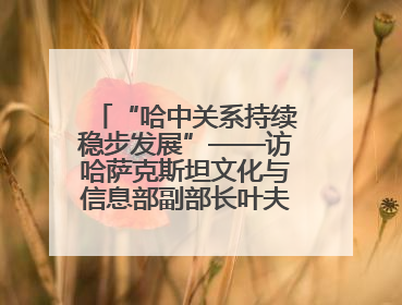 “哈中关系持续稳步发展”——访哈萨克斯坦文化与信息部副部长叶夫根尼·科切托夫