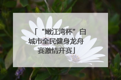“嫩江湾杯”白城市全民健身龙舟赛激情开赛