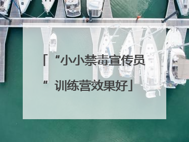 “小小禁毒宣传员”训练营效果好