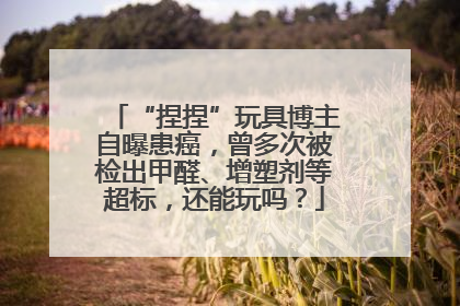 “捏捏”玩具博主自曝患癌，曾多次被检出甲醛、增塑剂等超标，还能玩吗？
