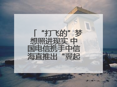 “打飞的”梦想照进现实 中国电信携手中信海直推出“翼起飞”空中旅游