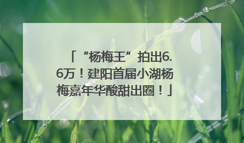“杨梅王”拍出6.6万！建阳首届小湖杨梅嘉年华酸甜出圈！