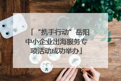 “携手行动”岳阳中小企业出海服务专项活动成功举办