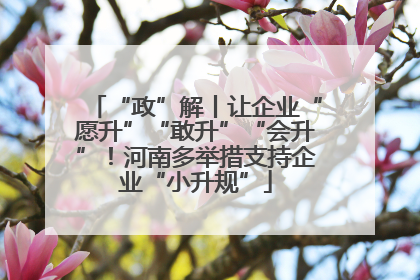 “政”解丨让企业“愿升”“敢升”“会升”！河南多举措支持企业“小升规”