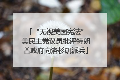 “无视美国宪法” 美民主党议员批评特朗普政府向洛杉矶派兵