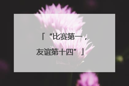 “比赛第一，友谊第十四”