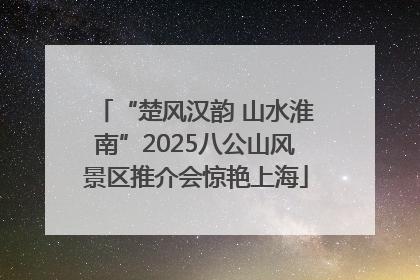 “楚风汉韵 山水淮南”2025八公山风景区推介会惊艳上海