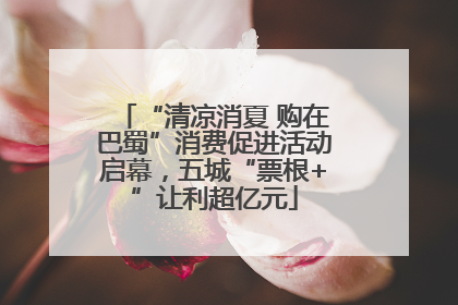 “清凉消夏 购在巴蜀”消费促进活动启幕，五城“票根+”让利超亿元