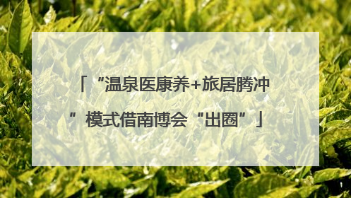 “温泉医康养+旅居腾冲”模式借南博会“出圈”