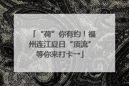 “荷”你有约！福州连江夏日“顶流”等你来打卡→