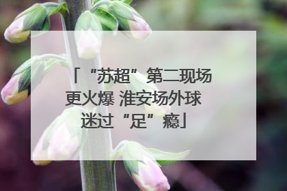 “苏超”第二现场更火爆 淮安场外球迷过“足”瘾