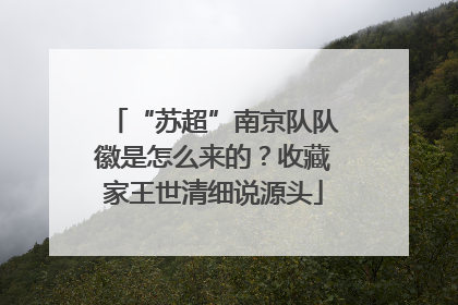 “苏超”南京队队徽是怎么来的？收藏家王世清细说源头