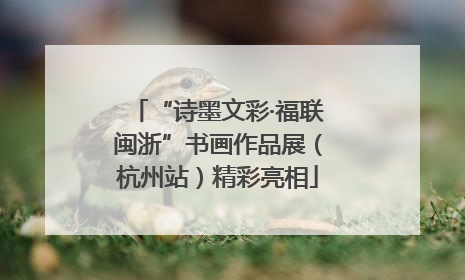 “诗墨文彩·福联闽浙”书画作品展（杭州站）精彩亮相