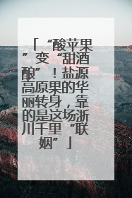 “酸苹果”变“甜酒酿”！盐源高原果的华丽转身，靠的是这场浙川千里“联姻”