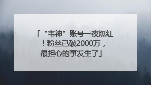 “韦神”账号一夜爆红！粉丝已破2000万，最担心的事发生了