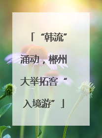 “韩流”涌动，郴州大举拓客“入境游”