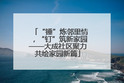 “锤”炼邻里情，“钉”筑新家园——大成社区聚力共绘家园新篇