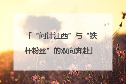 “问计江西”与“铁杆粉丝”的双向奔赴