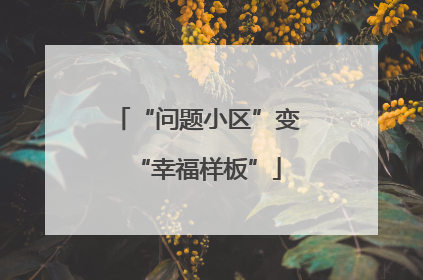 “问题小区”变“幸福样板”