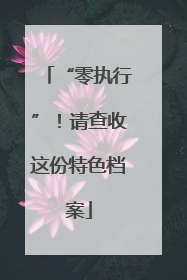 “零执行”！请查收这份特色档案