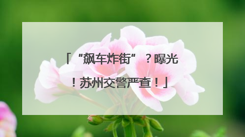 “飙车炸街”？曝光！苏州交警严查！