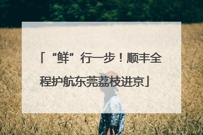 “鲜”行一步！顺丰全程护航东莞荔枝进京