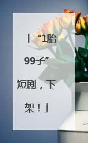 “1胎99子”短剧，下架！
