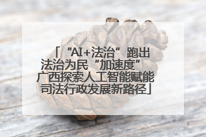 “AI+法治”跑出法治为民“加速度” 广西探索人工智能赋能司法行政发展新路径